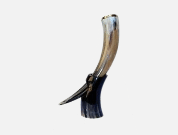IE-VDHM-01-MEDIEVAL DRINKING HORN